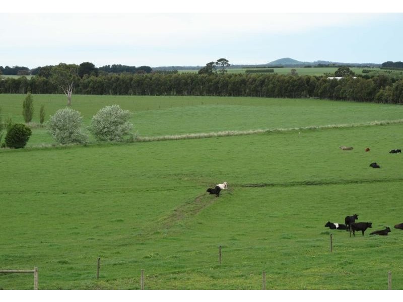 795 Camperdown Cobden Road, Bostocks Creek VIC 3260