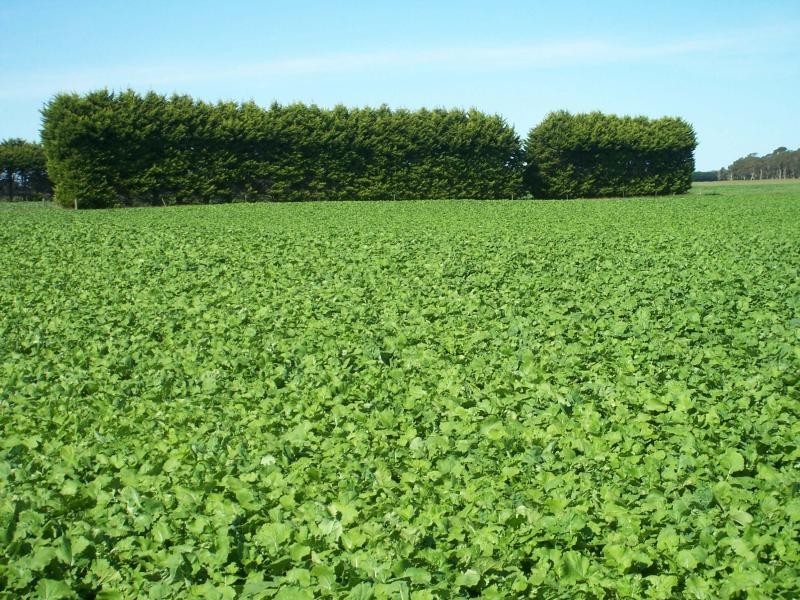 665 Rowans Road, Nullawarre VIC 3268