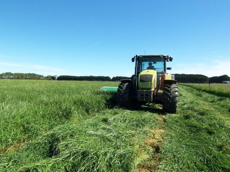 665 Rowans Road, Nullawarre VIC 3268