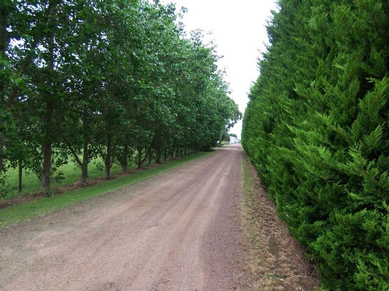 665 Rowans Road, Nullawarre VIC 3268