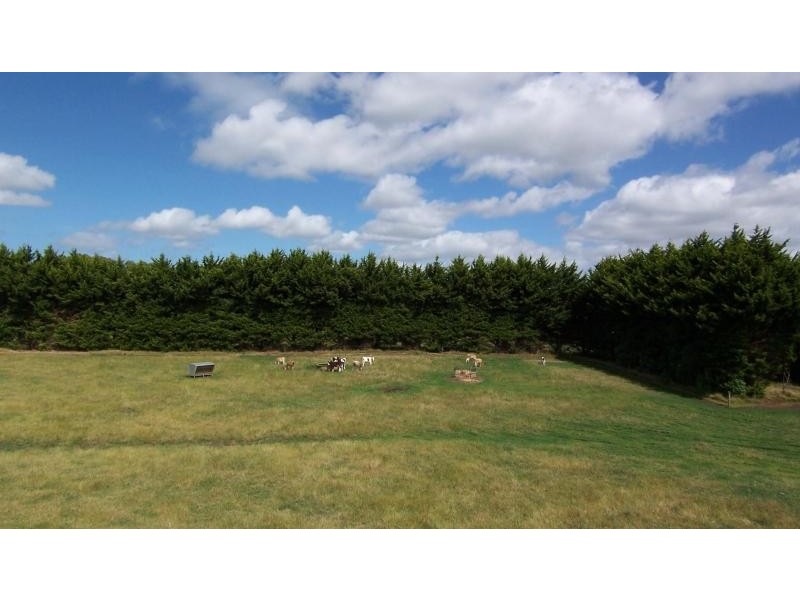 665 Rowans Road, Nullawarre VIC 3268