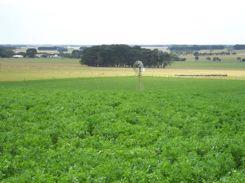 115 Rutters Road, Boorcan VIC 3265