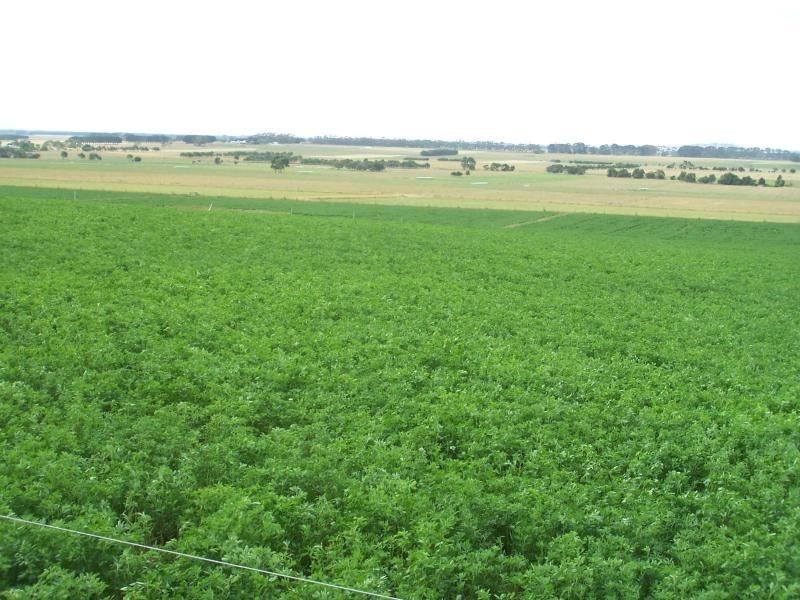 115 Rutters Road, Boorcan VIC 3265