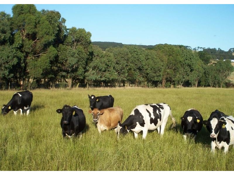 115 Rutters Road, Boorcan VIC 3265