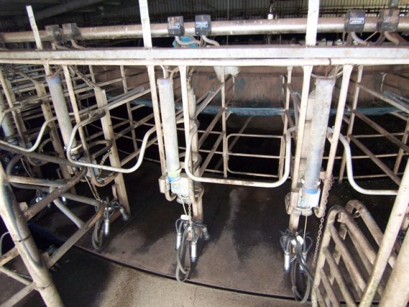 469 Gallum Road, Cooriemungle VIC 3268