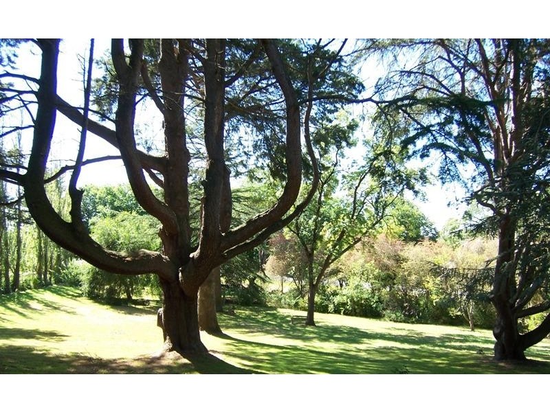 1 A Seymour Street, Terang VIC 3264