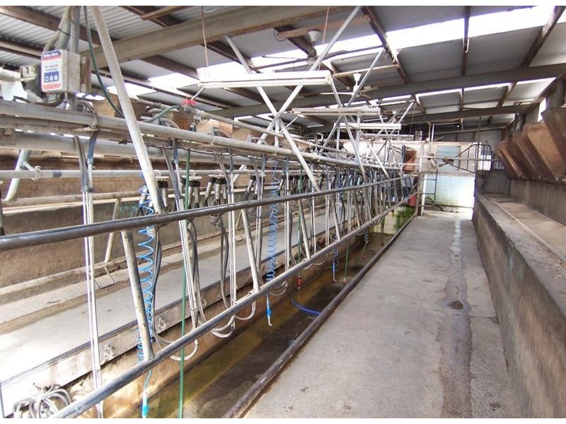 8559 Princes Highway, Panmure VIC 3265