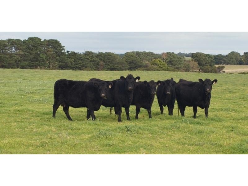 104 O’Donnell Road, Derrinallum VIC 3325