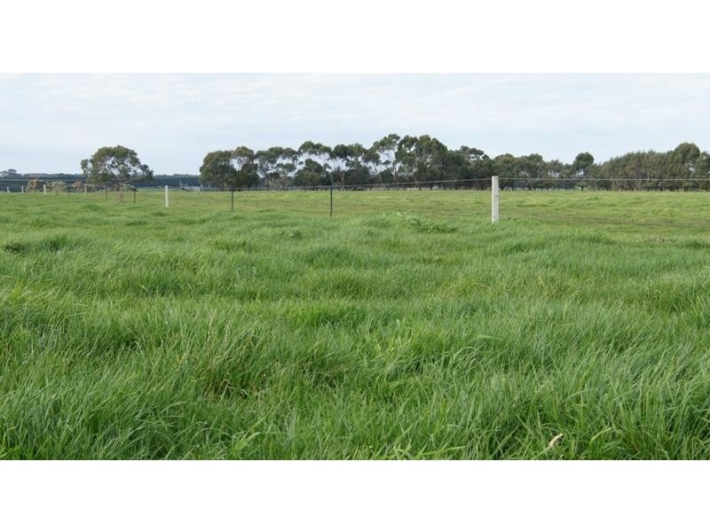 Glenormiston South VIC 3265