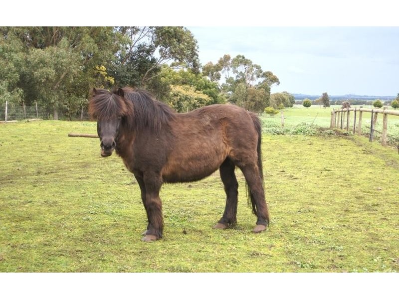 28 Waters Lane, Mortlake VIC 3272