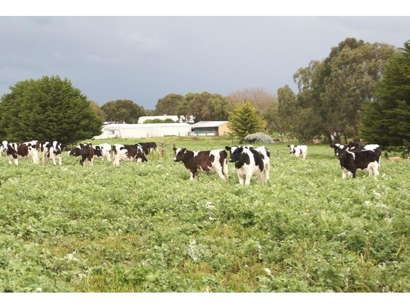 28 Waters Lane, Mortlake VIC 3272