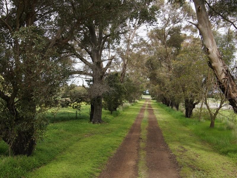 3145 Camperdown – Lismore Road, Lismore VIC 3324