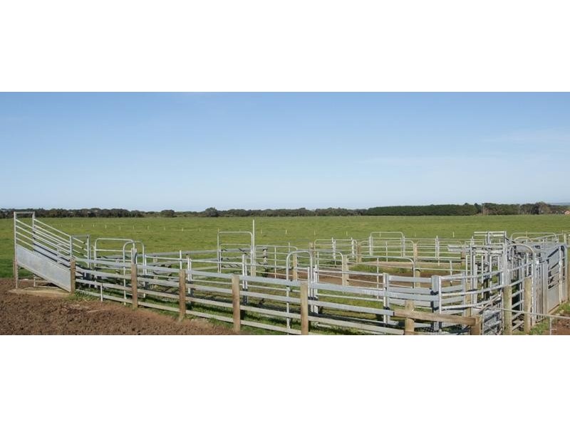 548 Curdievale-Port Campbell Road, Port Campbell VIC 3269