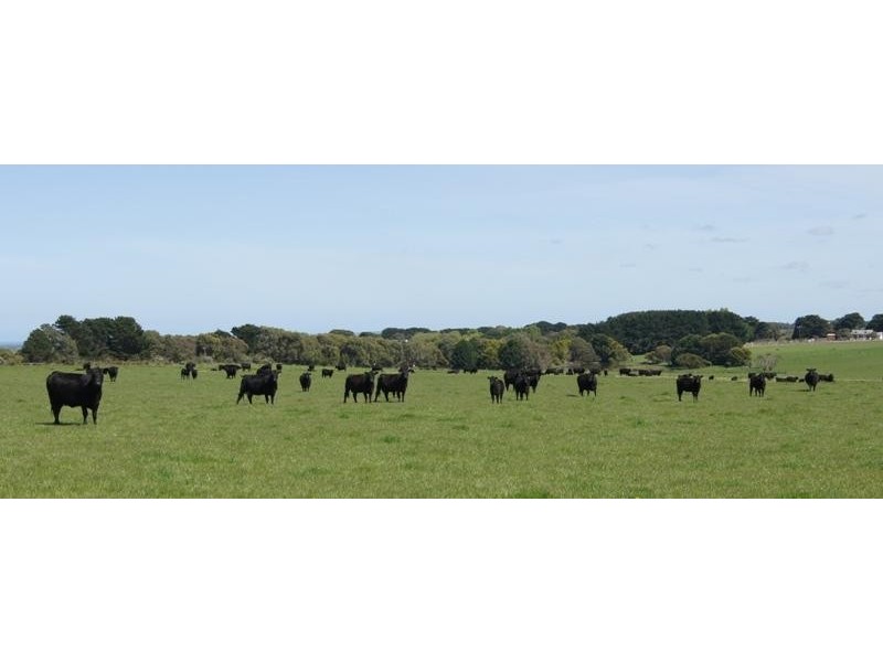 548 Curdievale-Port Campbell Road, Port Campbell VIC 3269