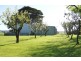 548 Curdievale-Port Campbell Road, Port Campbell VIC 3269