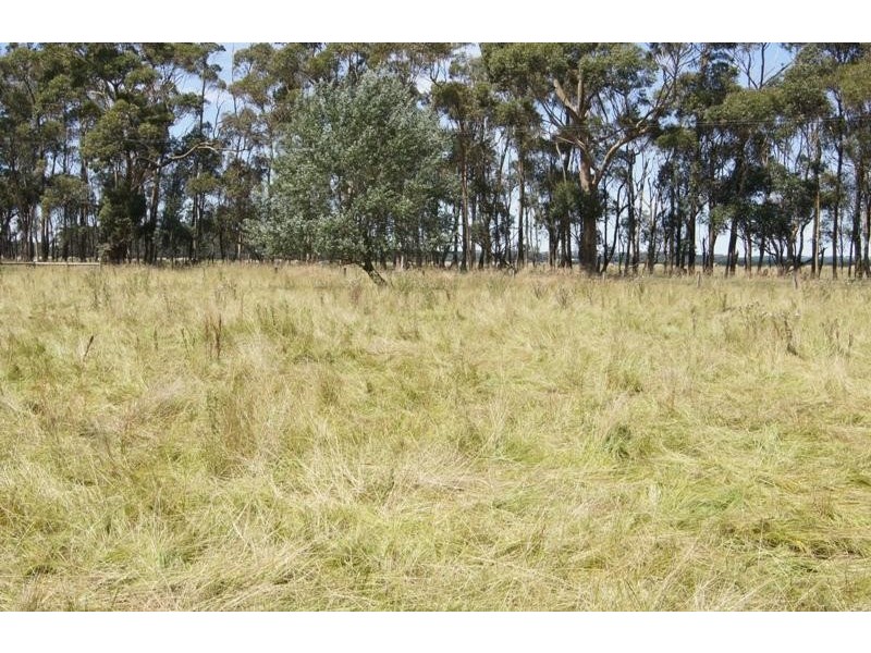 120 Robertsons Road, Terang VIC 3264