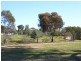 Murtoa VIC 3390