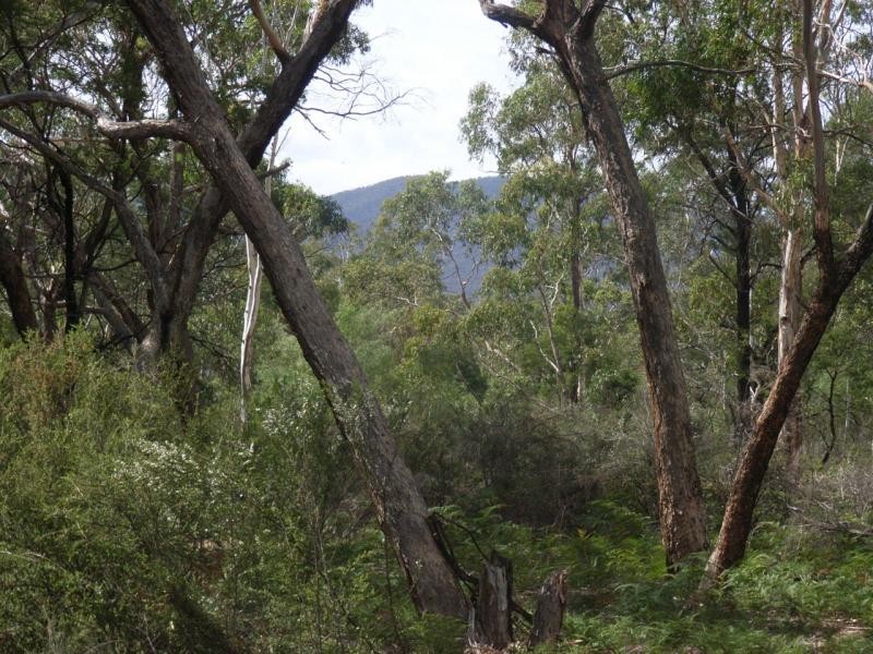 200 Samuels Drive, Wartook, Grampians VIC 3314