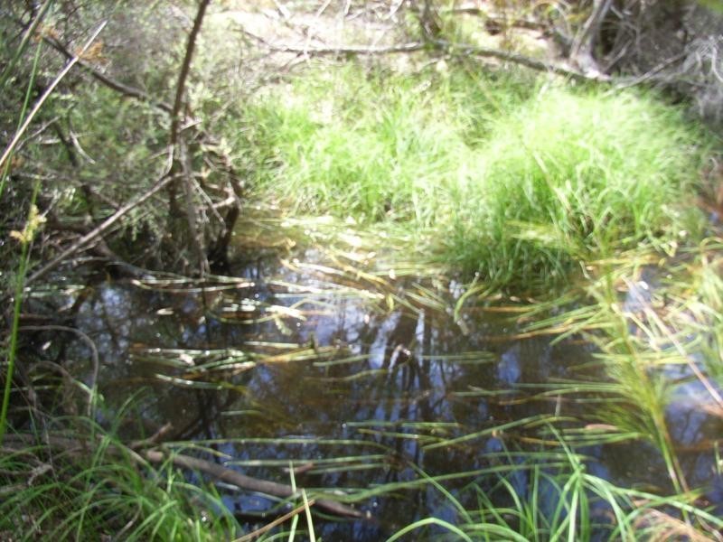 200 Samuels Drive, Wartook, Grampians VIC 3314