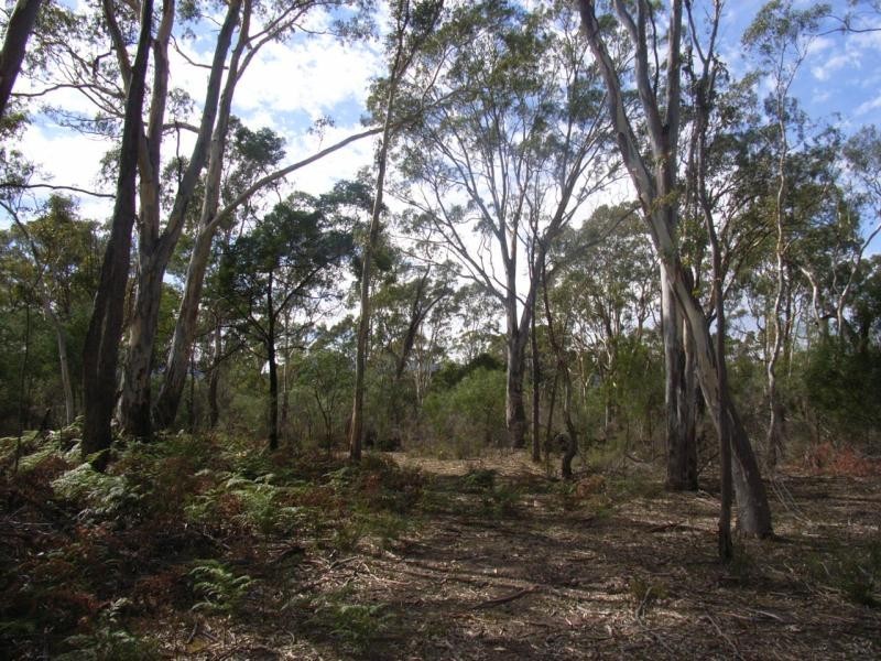 200 Samuels Drive, Wartook, Grampians VIC 3314