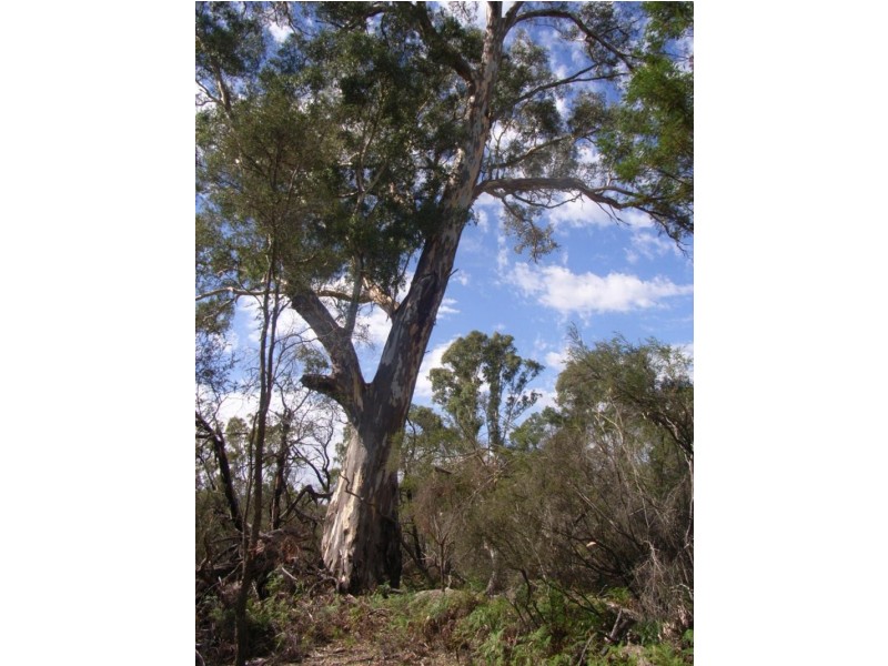 200 Samuels Drive, Wartook, Grampians VIC 3314