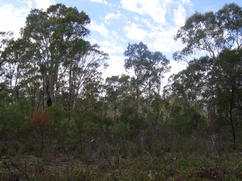 200 Samuels Drive, Wartook, Grampians VIC 3314