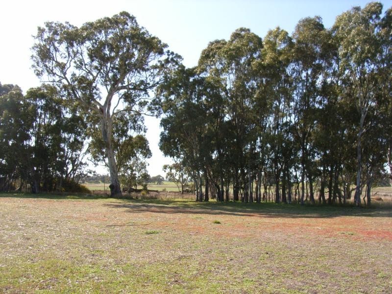 Edenhope VIC 3318