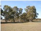 Edenhope VIC 3318