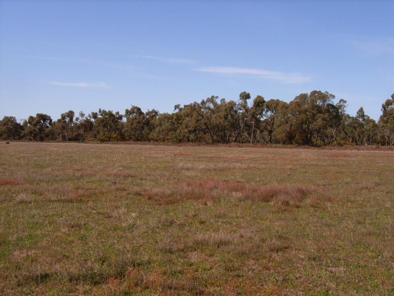 Edenhope VIC 3318