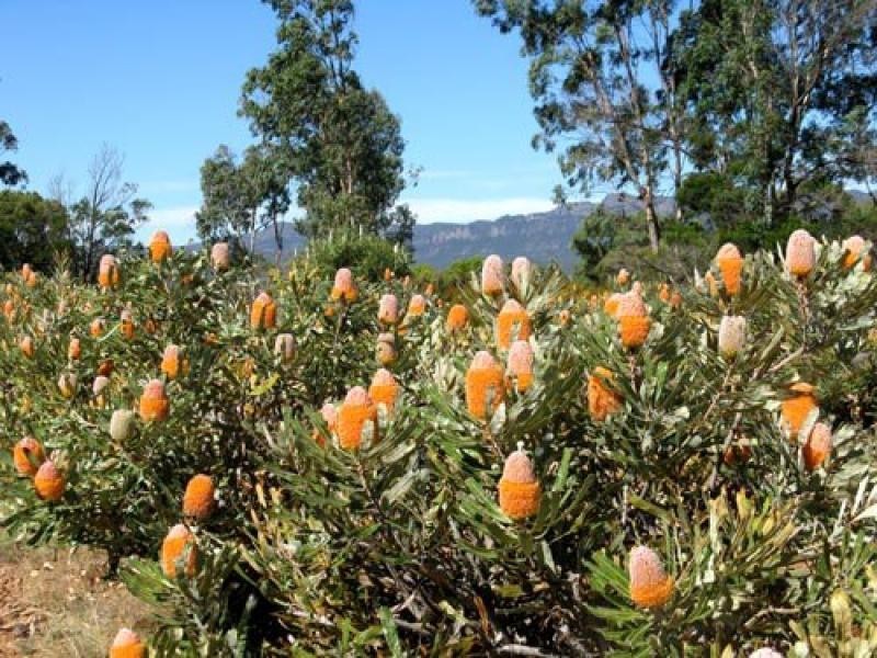 69 Snells Rd., Wartook VIC 3400