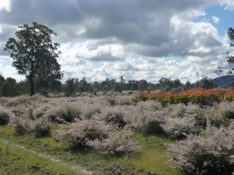 69 Snells Rd., Wartook VIC 3400