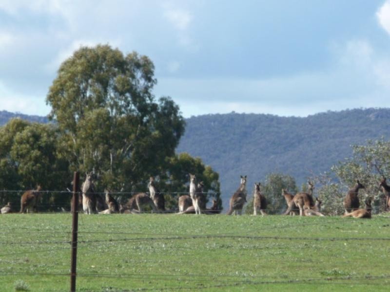 69 Snells Rd., Wartook VIC 3400