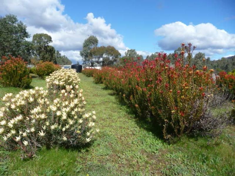 69 Snells Rd., Grampians VIC 3314