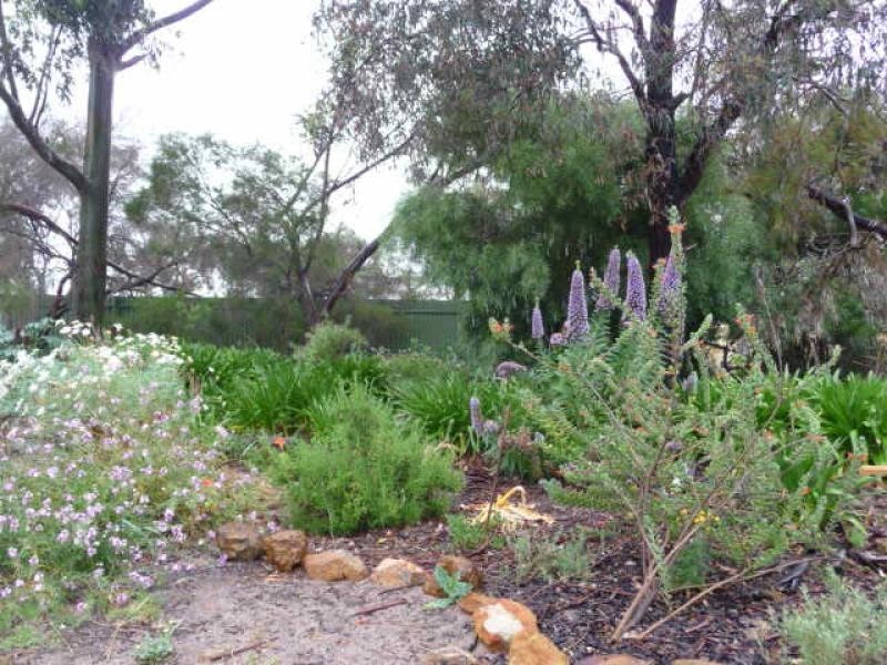 26 Main St., Natimuk VIC 3409