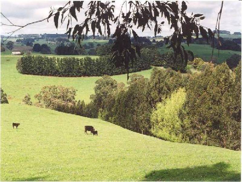 Mirboo North VIC 3871