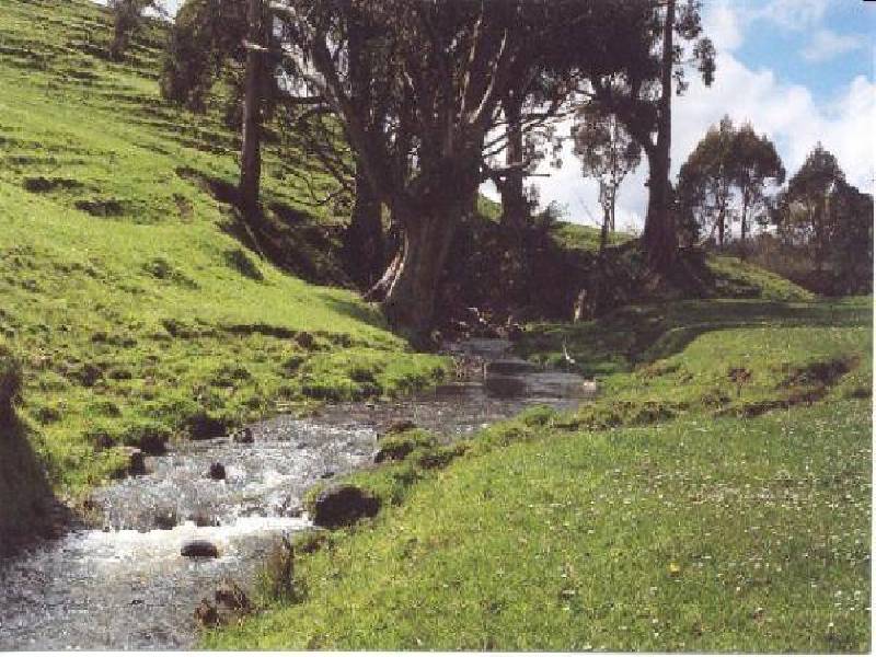 Mirboo North VIC 3871