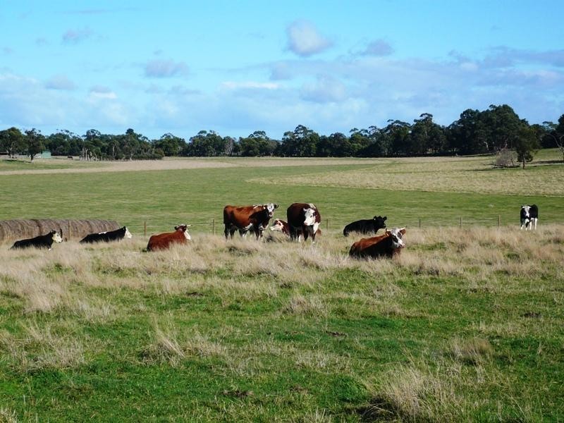 00 Outtrim-Leongatha Road, Outtrim VIC 3951