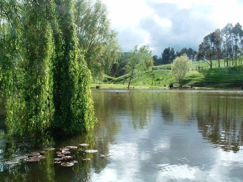 100 Ferriers Road, Loch VIC 3945