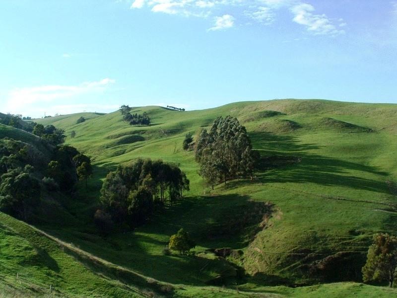 100 Ferriers Road, Loch VIC 3945