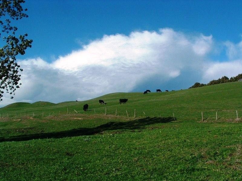 100 Ferriers Road, Loch VIC 3945