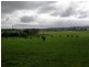 Glen Forbes VIC 3990