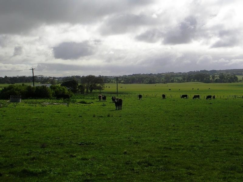 Glen Forbes VIC 3990