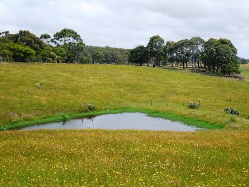 Lot 2/120 McIlwaine Street, Meeniyan VIC 3956