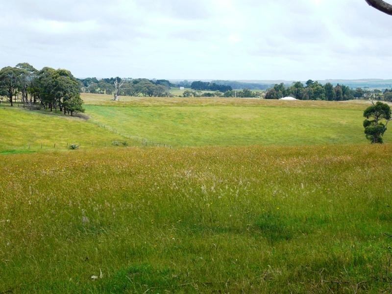 Lot 2/120 McIlwaine Street, Meeniyan VIC 3956