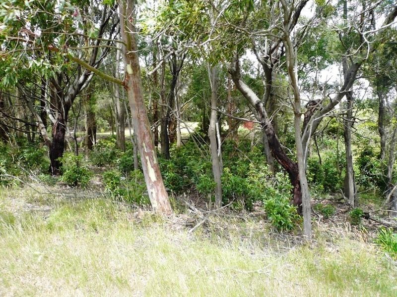 Lot 2/120 McIlwaine Street, Meeniyan VIC 3956