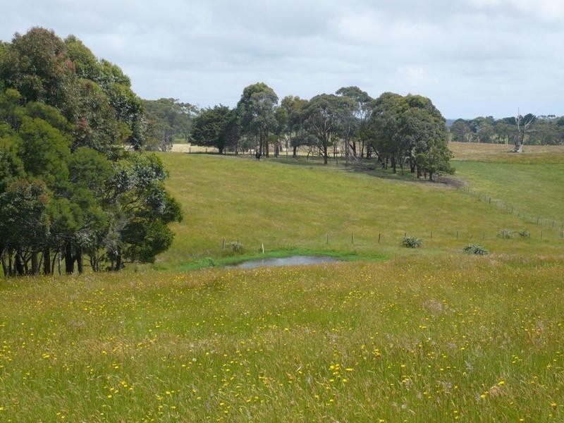 Lot 2/120 McIlwaine Street, Meeniyan VIC 3956