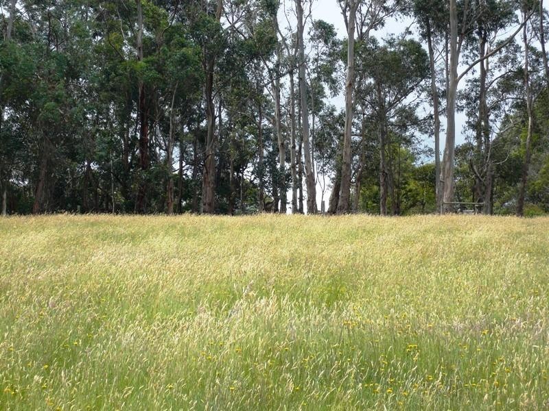 Lot 2/120 McIlwaine Street, Meeniyan VIC 3956