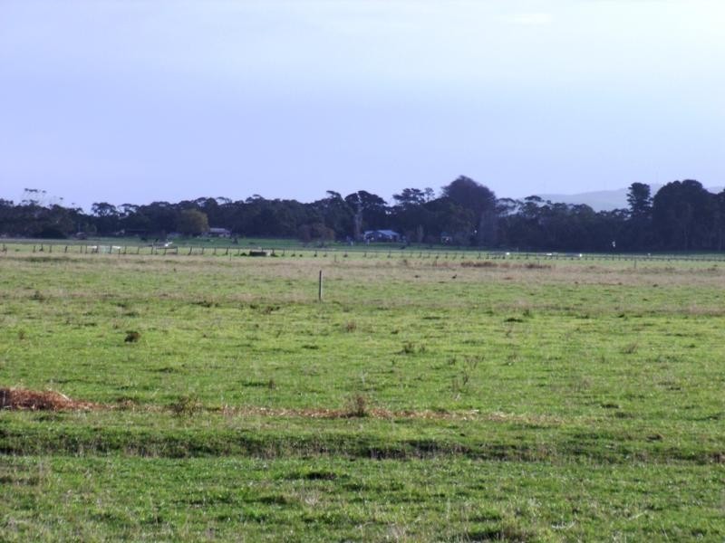 150 Todds Road, Hedley VIC 3967