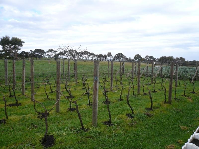 84 JOSEPH ROAD, Corinella VIC 3984