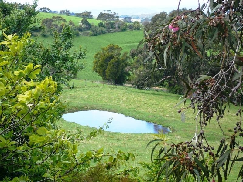 85 Wallaces Road, Korumburra VIC 3950